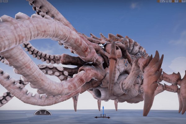 Kraken official
