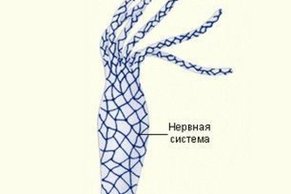 Кракен сайт ссылка тор браузере