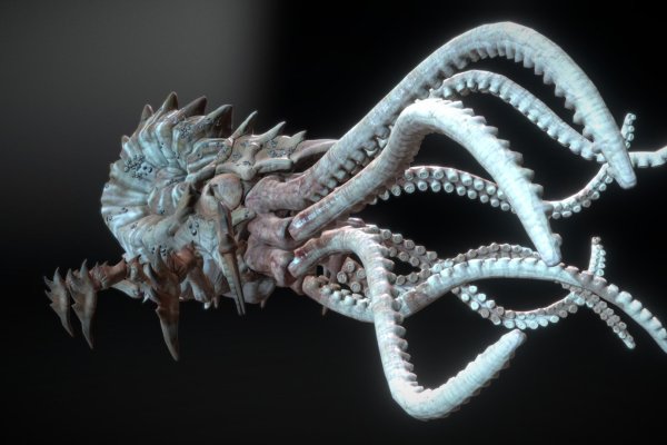 Kraken20at