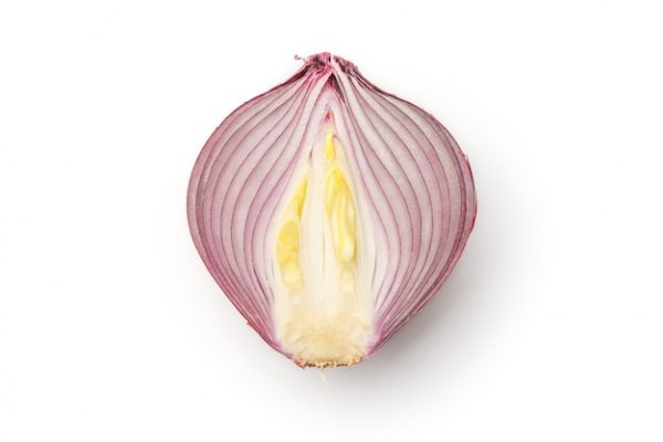 Kraken onion link