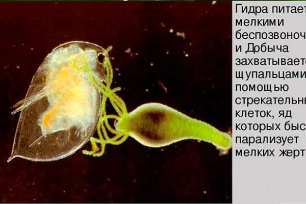 Кракен площадка kr2web in