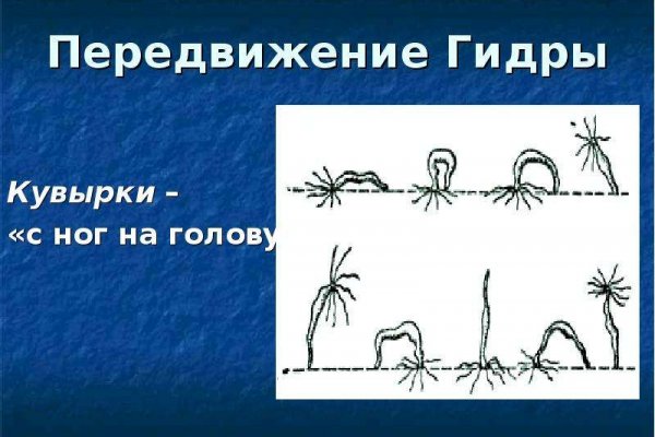 Кракен актуальная ссылка kraken torion net