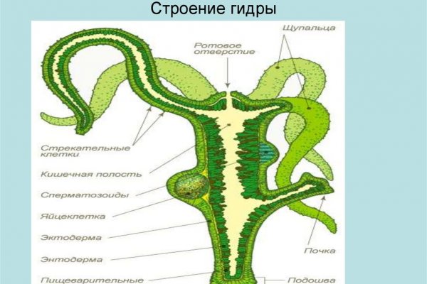 Как найти ссылку на кракен