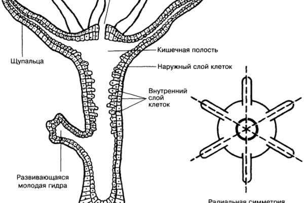 Кракен ссылка kra