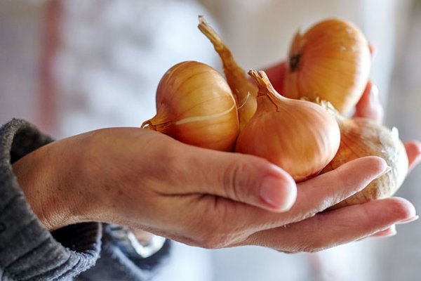 Сайты продаж наркотиков