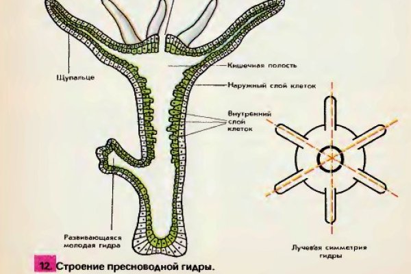 Кракен маркетплейс 2025