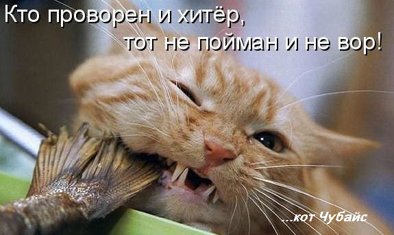 Kraken дарк магазин