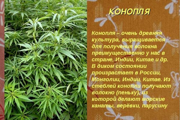 Кракен аватарка маркетплейс